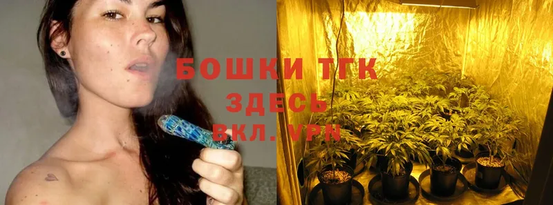 Марихуана THC 21%  купить  цена  blacksprut как войти  Вологда 